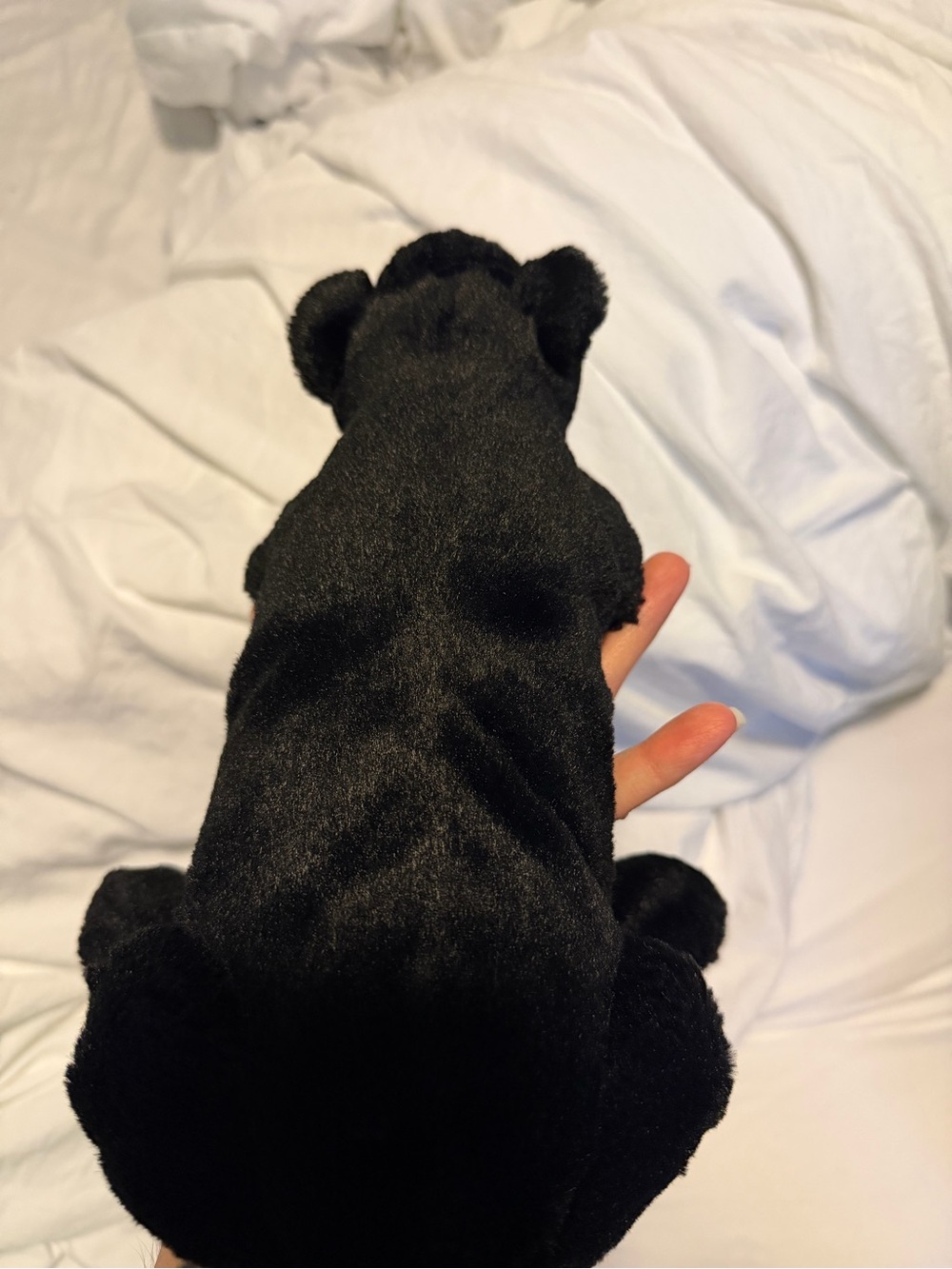 Jellycat Little Paris Panther